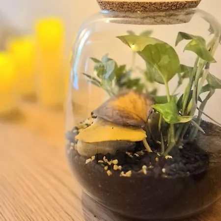 Coocon - Coeur De - Terrasse Apartment Nîmes