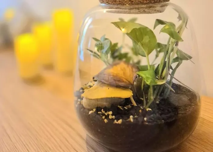 Coocon - Coeur De - Terrasse Appartamento Nîmes